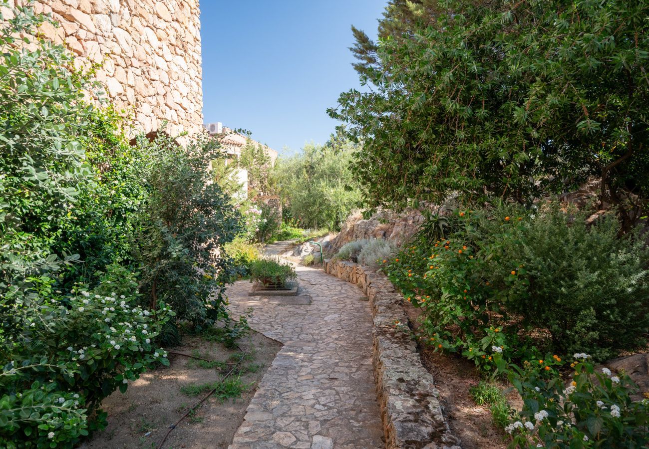 Appartamento a Porto Rotondo - Caletta Nest 108 - casa vacanze con piscina