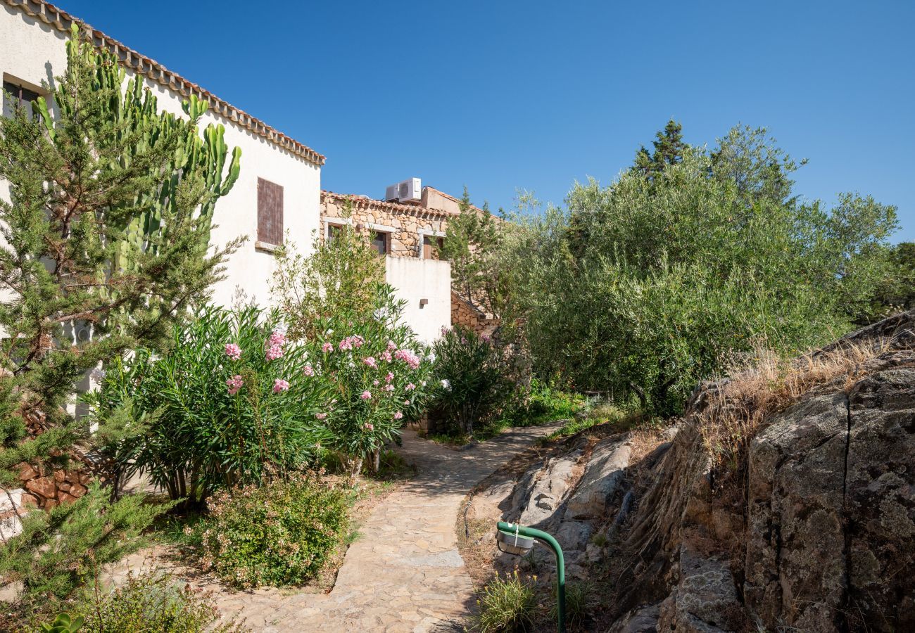 Appartamento a Porto Rotondo - Caletta Nest 108 - casa vacanze con piscina