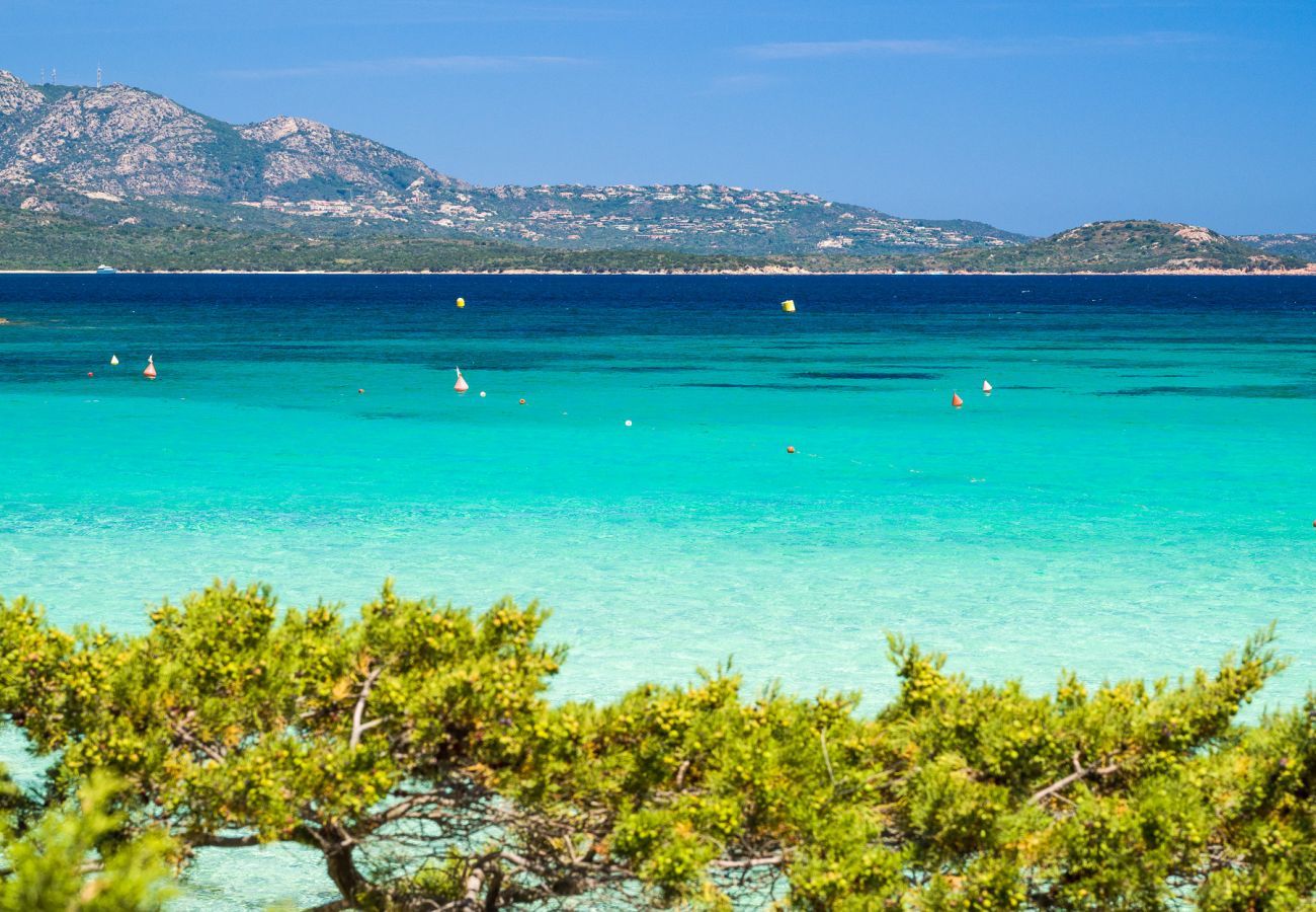 Appartamento a Porto Rotondo - Caletta Nest 108 - casa vacanze con piscina