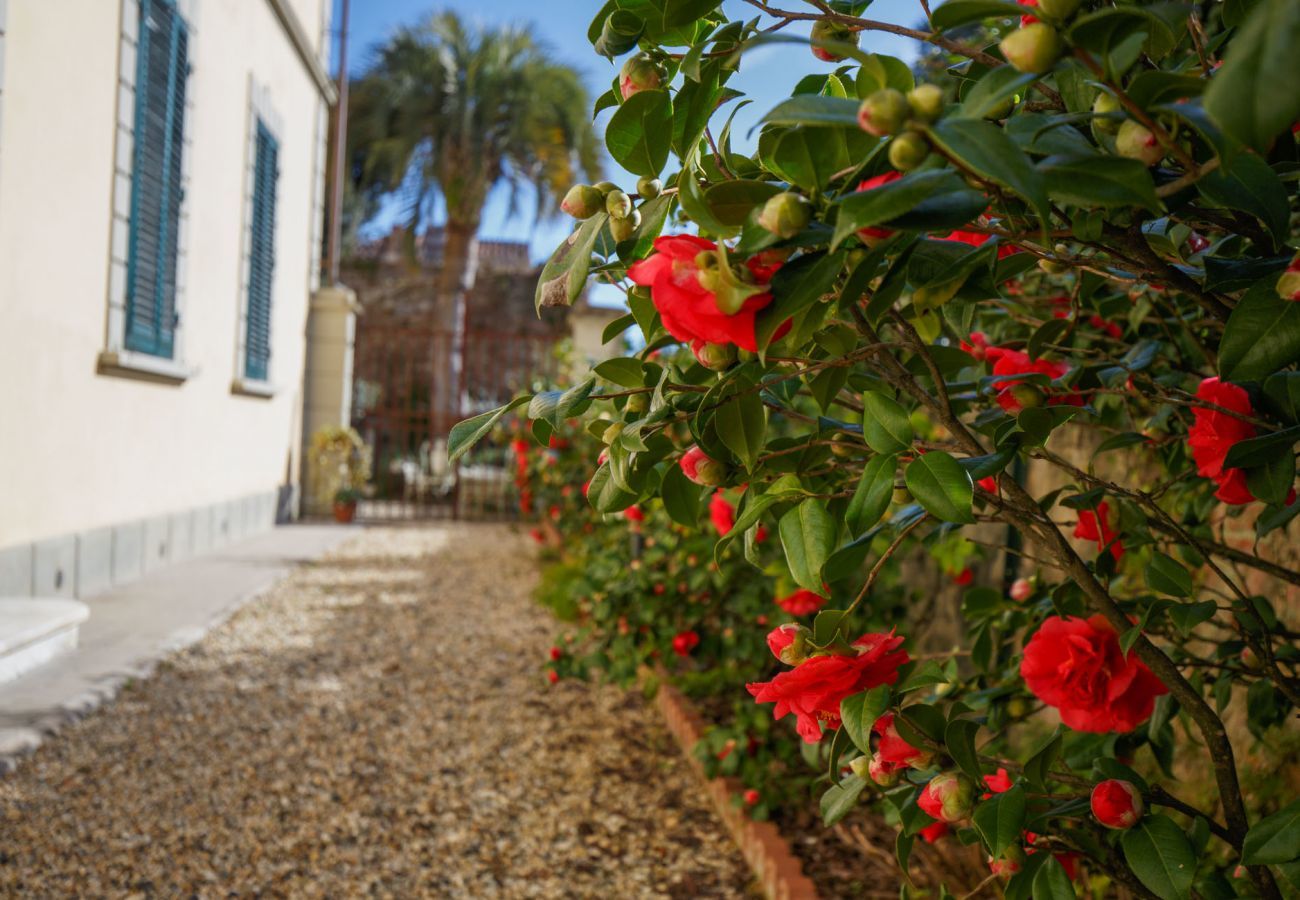 Appartamento a Lucca - The Park View 4 Bedrooms Apartment with Terrace and Elevator inside the Walls of Lucca