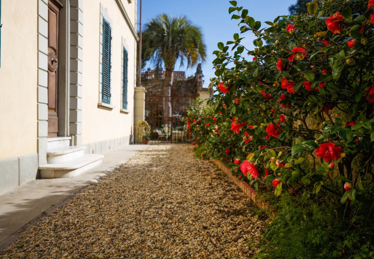 Appartamento a Lucca - The Park View 4 Bedrooms Apartment with Terrace and Elevator inside the Walls of Lucca