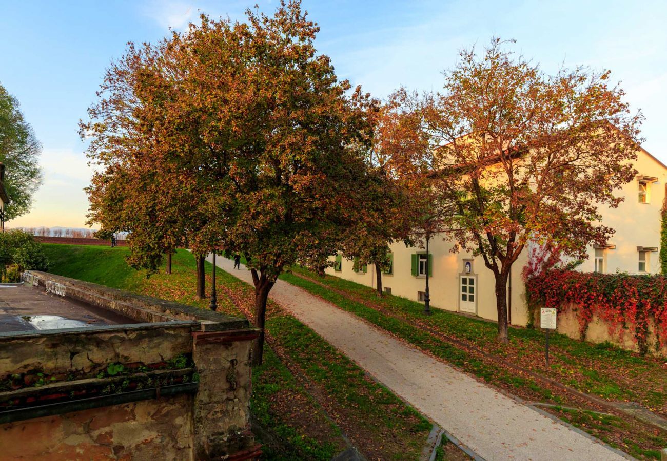 Appartamento a Lucca - CASA KATHY: Smart and Convenient Luxury 2 Bedrooms Apartment inside the City Walls