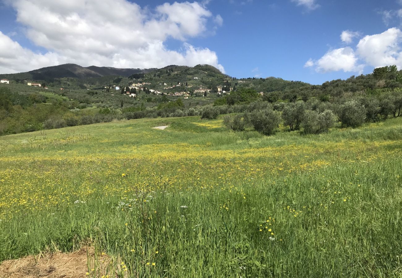 Appartamento a San Gennaro - Casa Lucchese, a farmhouse apartment with pool on the hills of Lucca