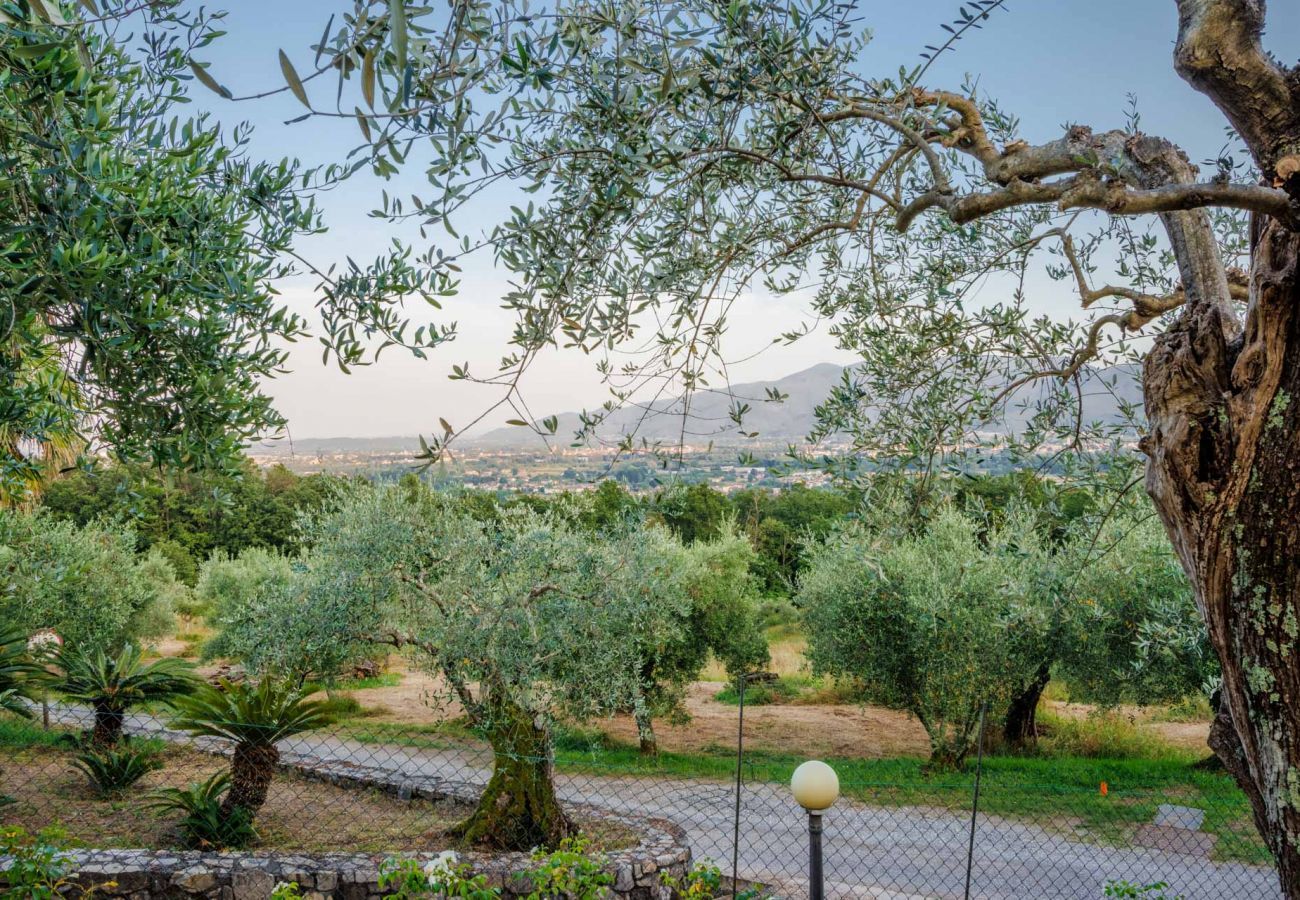 Villa a Lucca - Villa Gabry Farmhouse with Incredible View on the Hills close to Lucca Town Centre