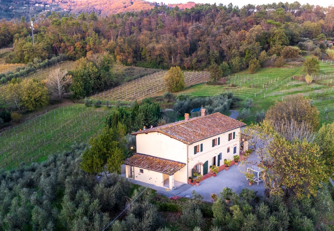 Villa a Lucca - Villa Amore, a Romantic Hilltop Farmhouse in Lucca