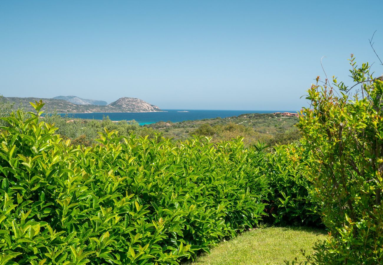 Appartamento a Porto San Paolo - Il Poggio 8 - flat con piscina condivisa e giardino