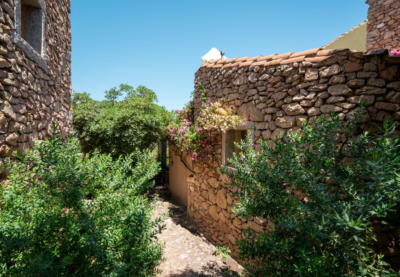 Appartamento a Porto Rotondo - Caletta Nest 88 - casa sul mare con piscina