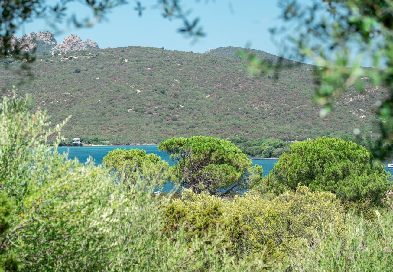 Appartamento a Porto Rotondo - Caletta Nest 88 - casa sul mare con piscina