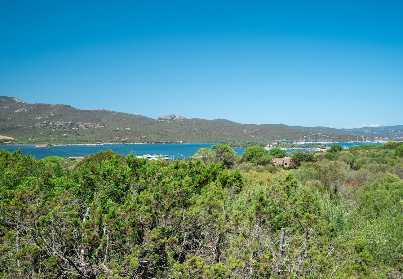 Appartamento a Porto Rotondo - Caletta Nest 88 - casa sul mare con piscina