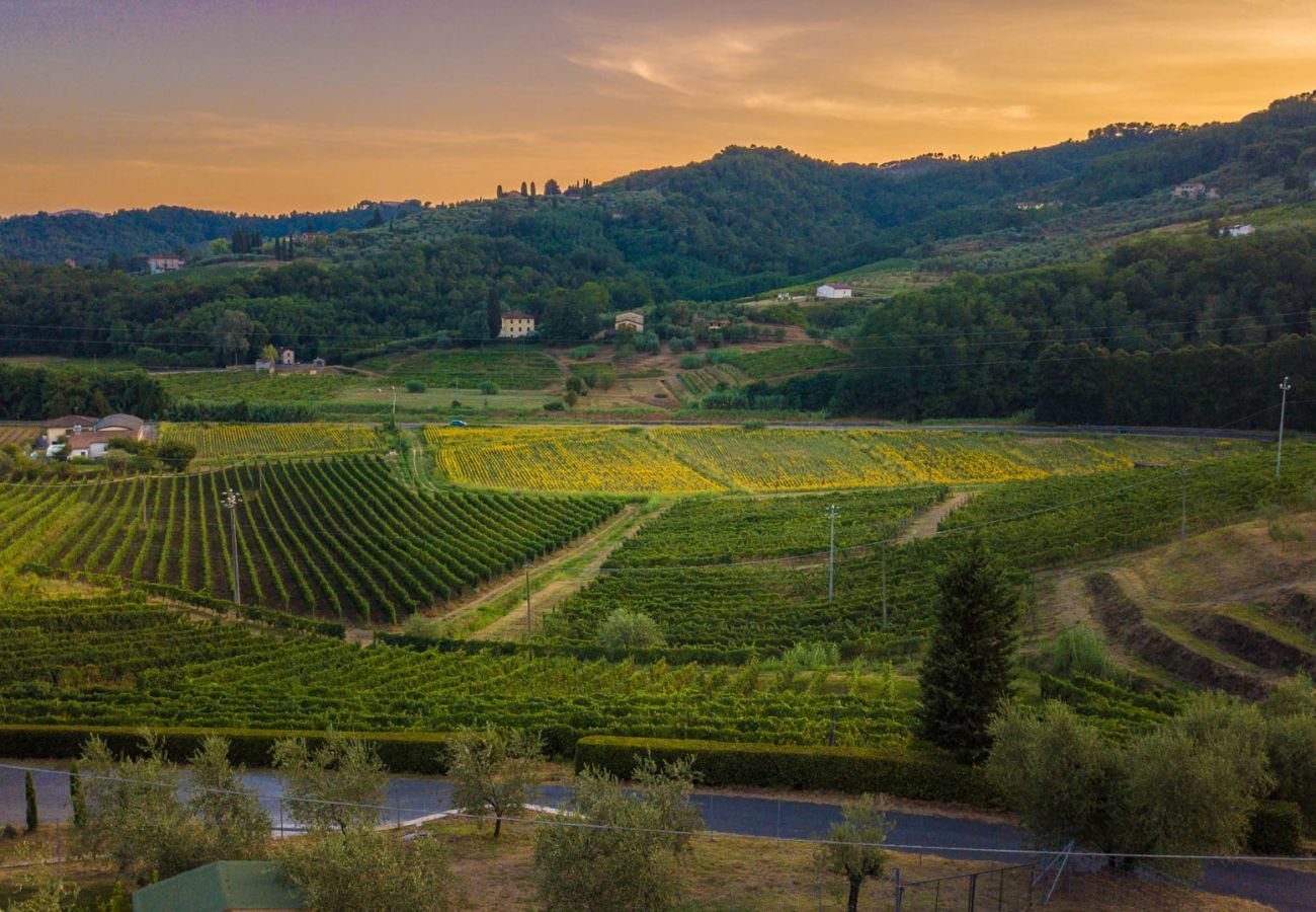 Villa a Lucca - Valle del Sole Winery Farmhouse with Private Pool