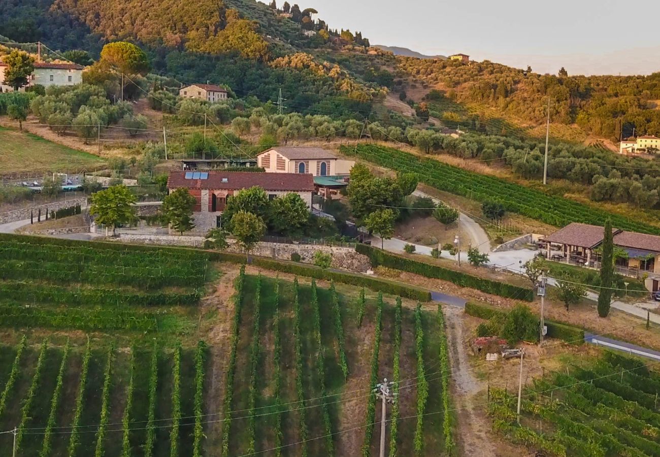 Villa a Lucca - Valle del Sole Winery Farmhouse with Private Pool