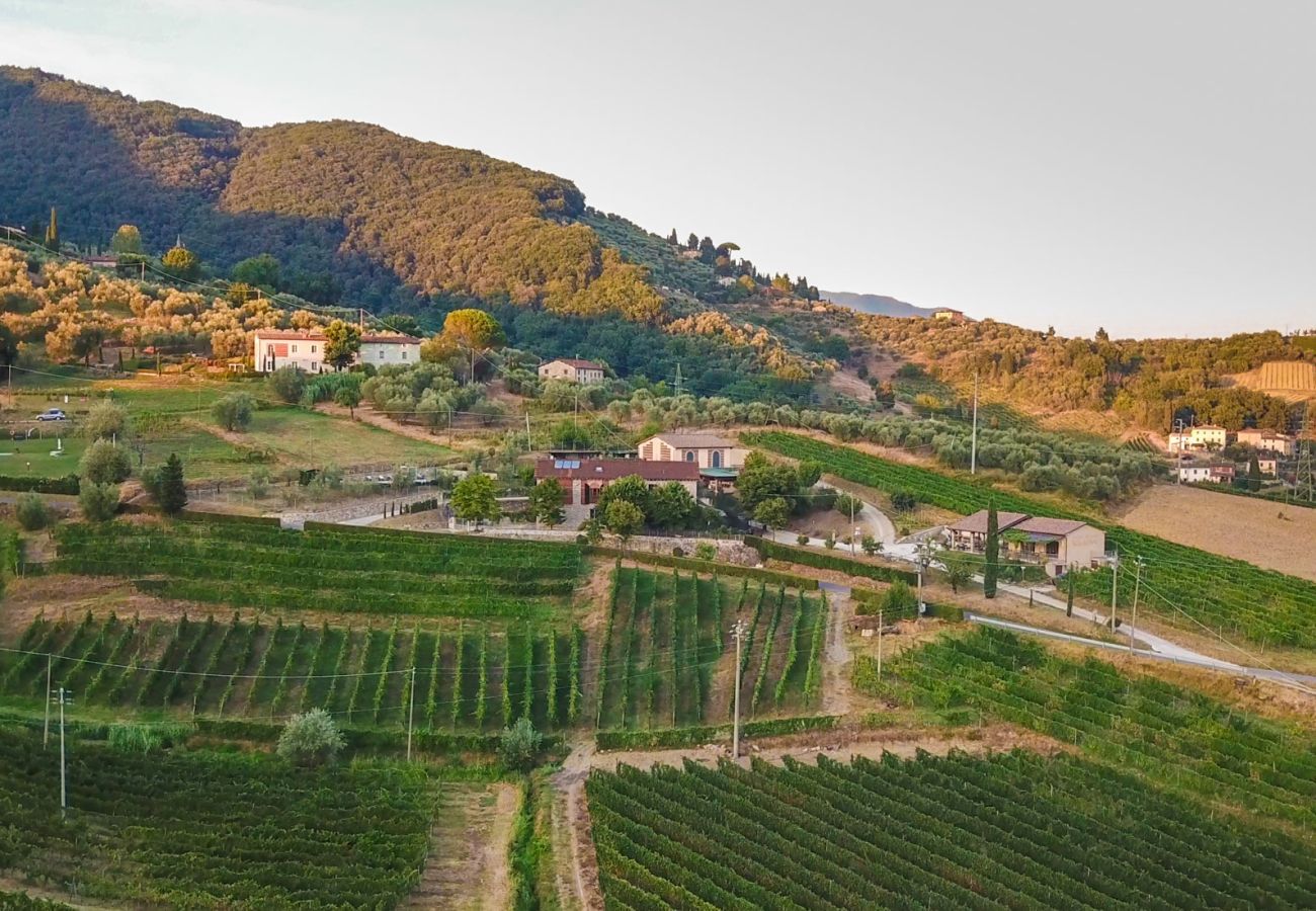 Villa a Lucca - Valle del Sole Winery Farmhouse with Private Pool