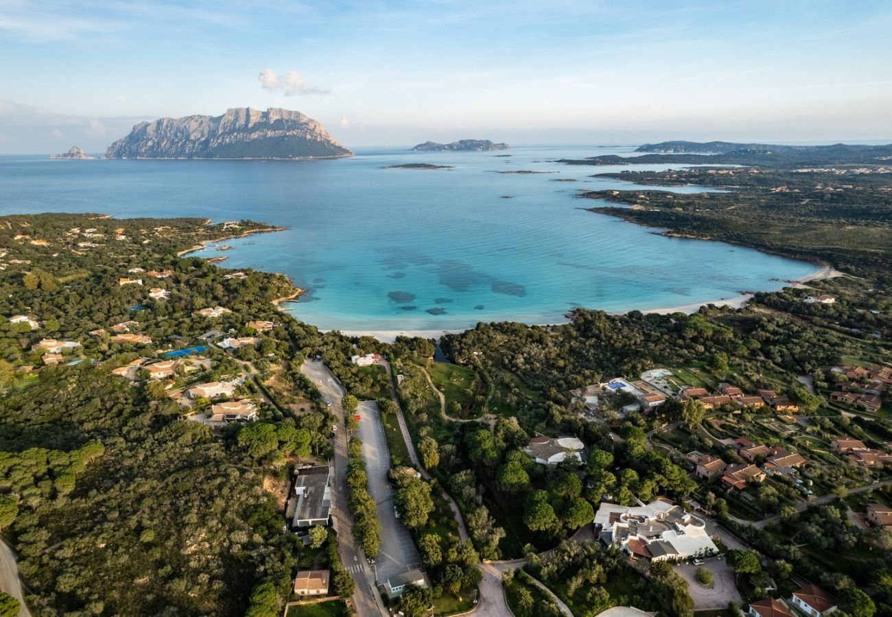 Villa a Olbia - Villa Aurazure