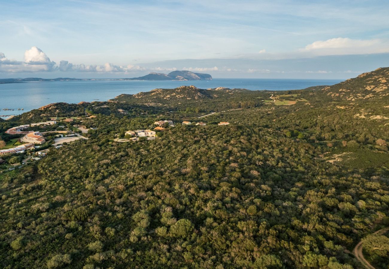 Villa a Olbia - Villa Aurazure