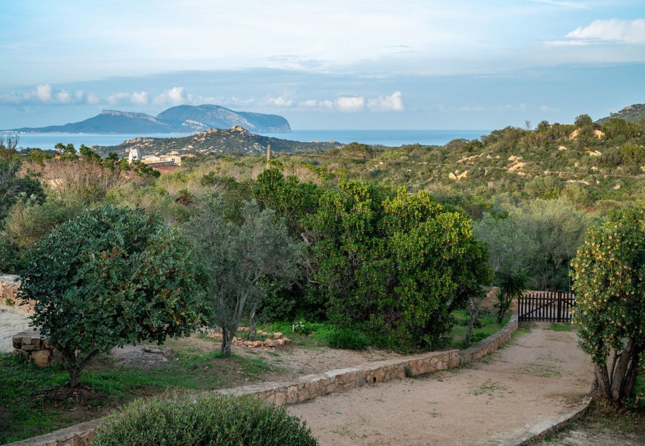 Villa a Olbia - Villa Aurazure