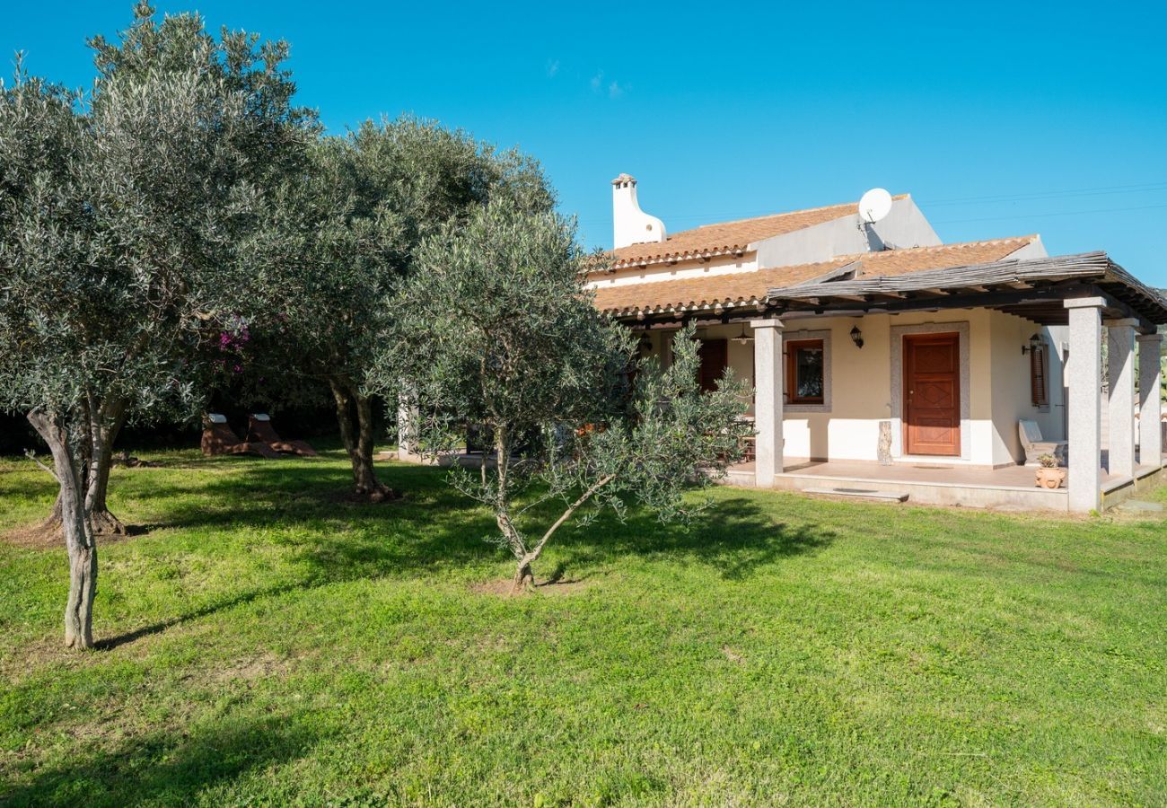 Villa a Olbia - Villa Calyra