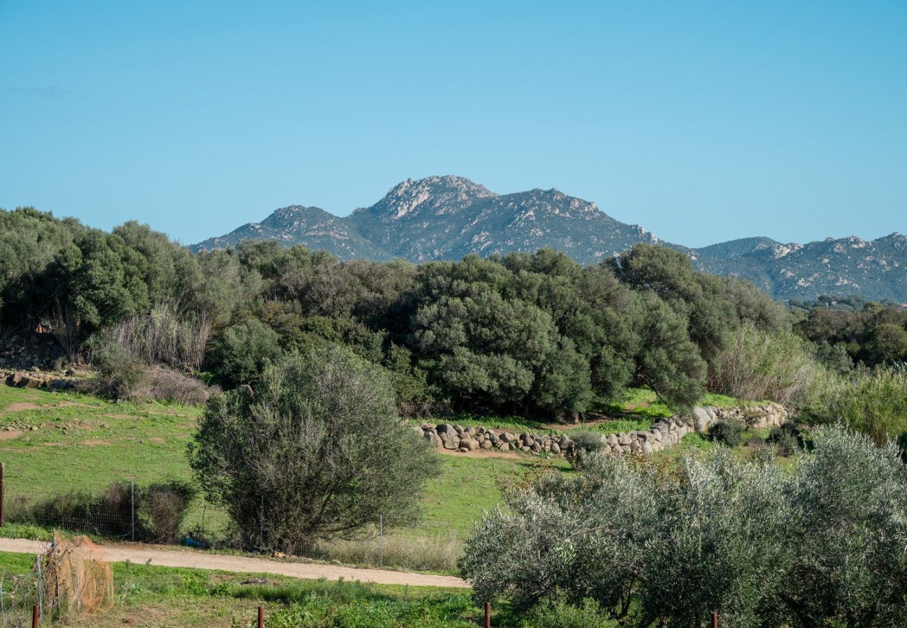 Villa a Olbia - Villa Calyra