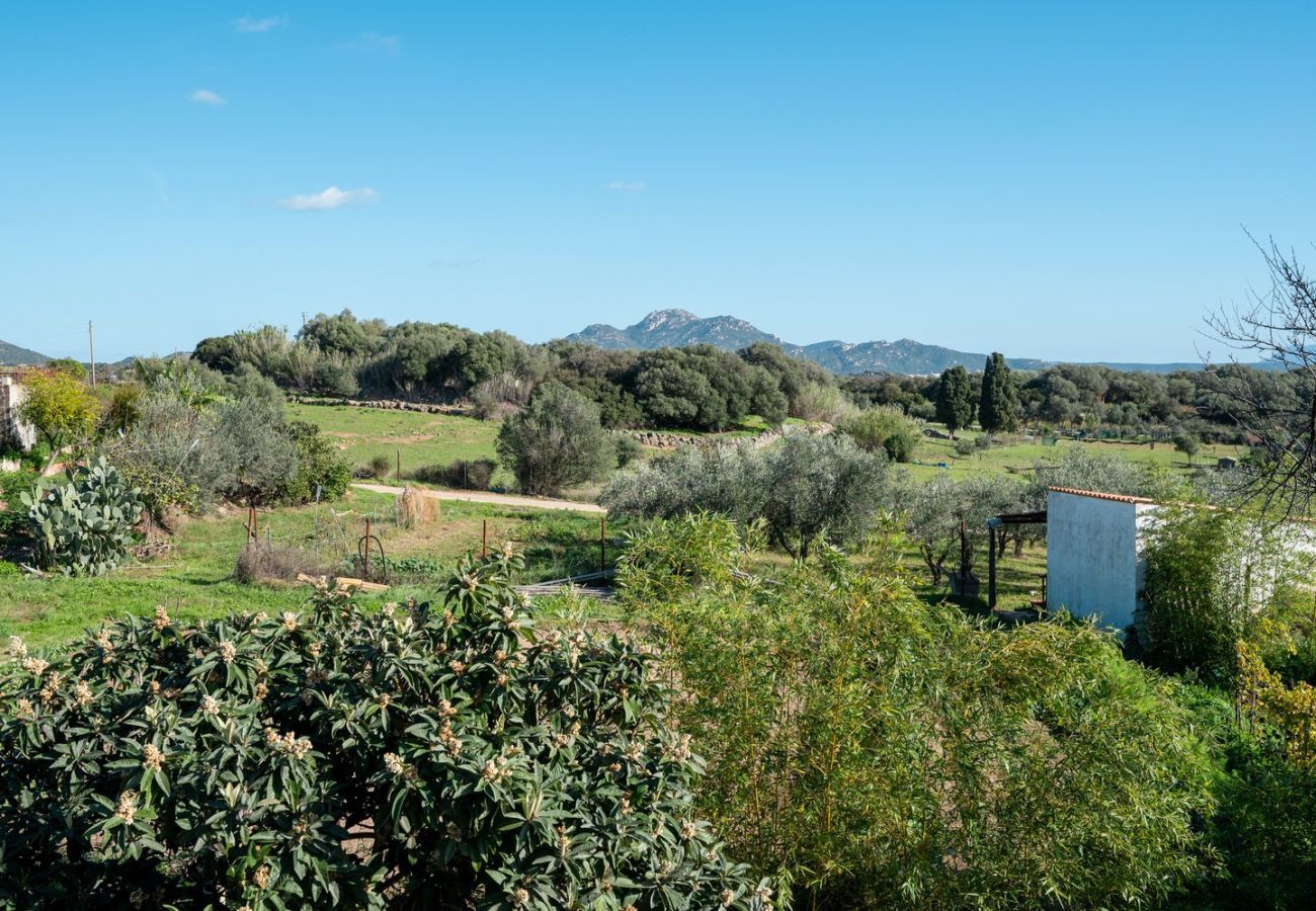 Villa a Olbia - Villa Calyra