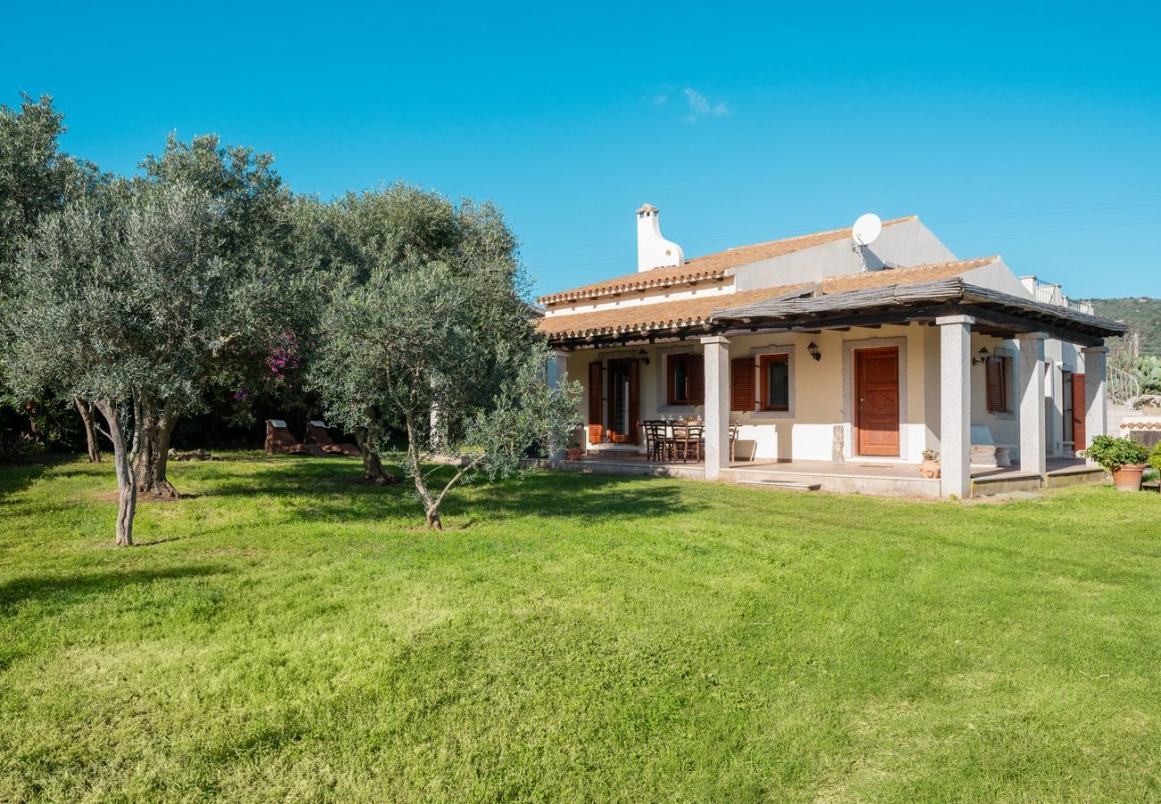 Villa a Olbia - Villa Calyra