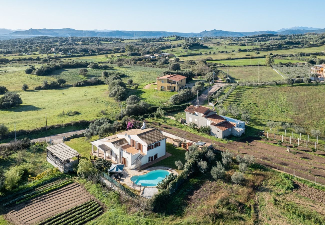 Villa a Olbia - Villa Calyra