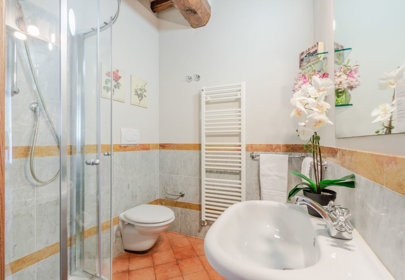 Ferienwohnung in Monte San quirico - Jacopo Farmhouse Apartment in Wine Resort in Lucca