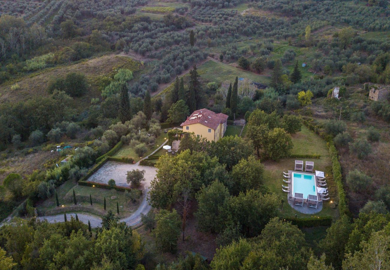 Ferienwohnung in San Gennaro - Casa Lucchese, a farmhouse apartment with pool on the hills of Lucca