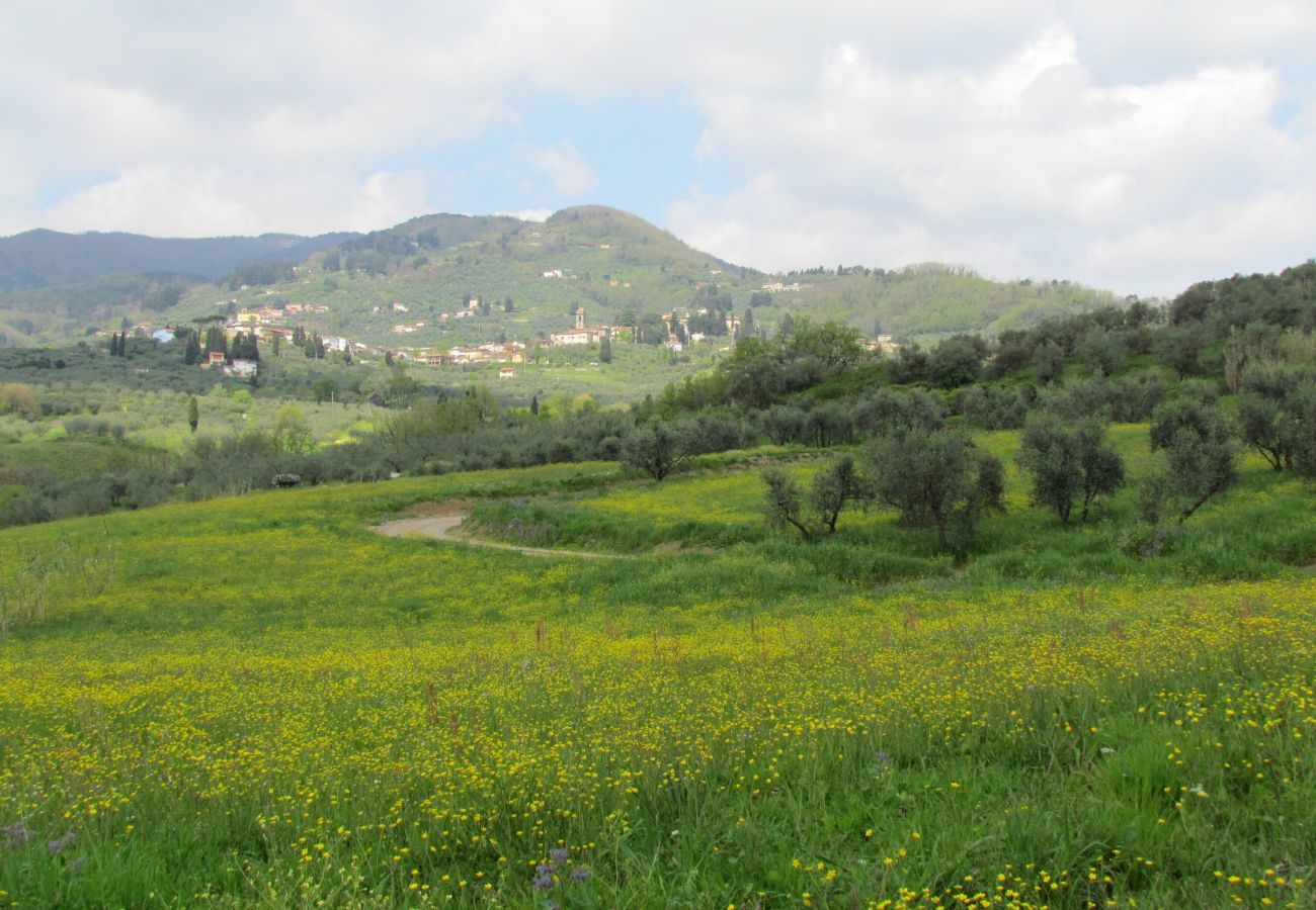 Ferienwohnung in San Gennaro - Casa Gennaro a 3 bedrooms farmhouse apartment with pool in Lucca