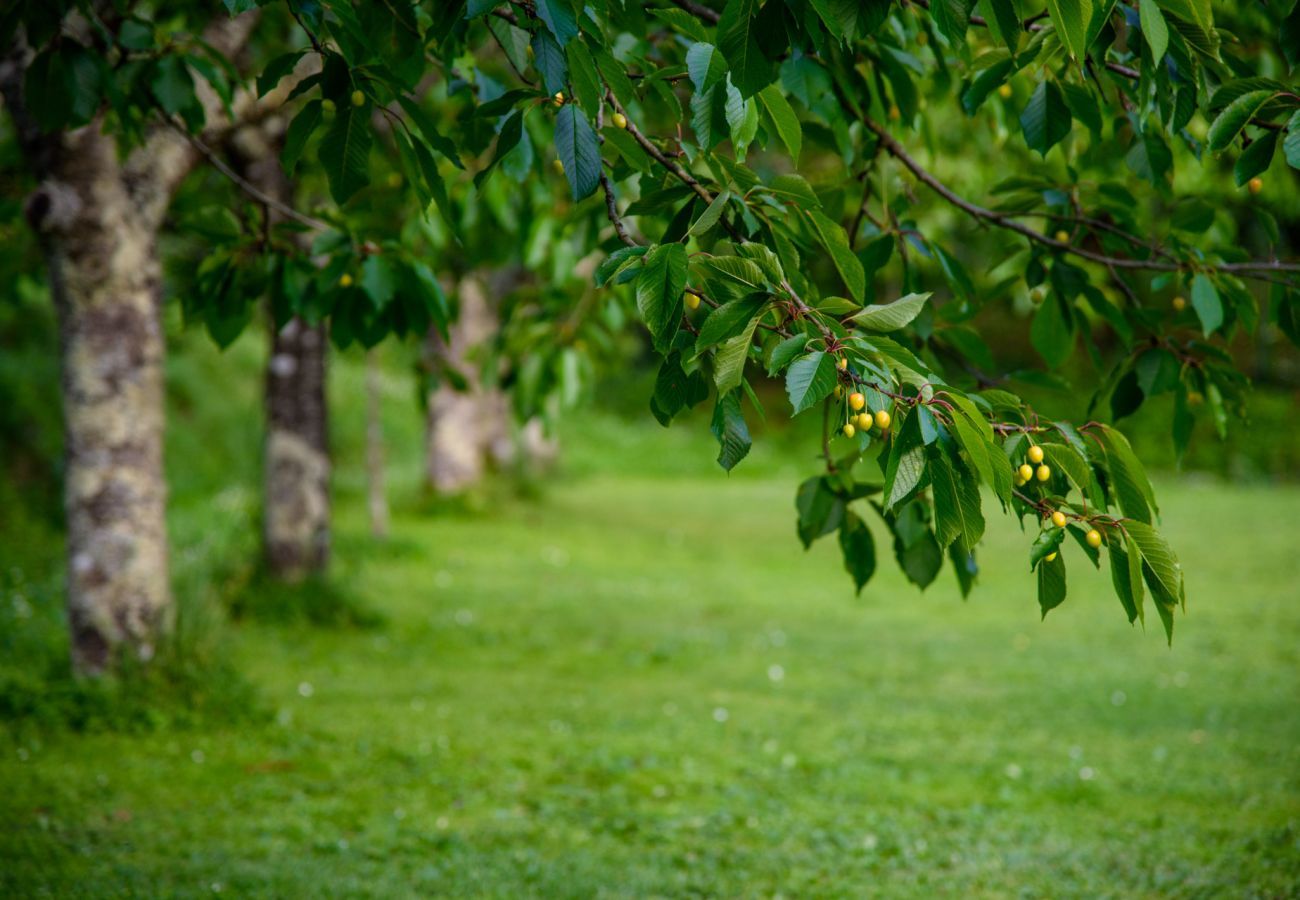 Villa in Capannori - Citrus Charm Farmhouse, a Country Villa with Pool on the hills of Lucca