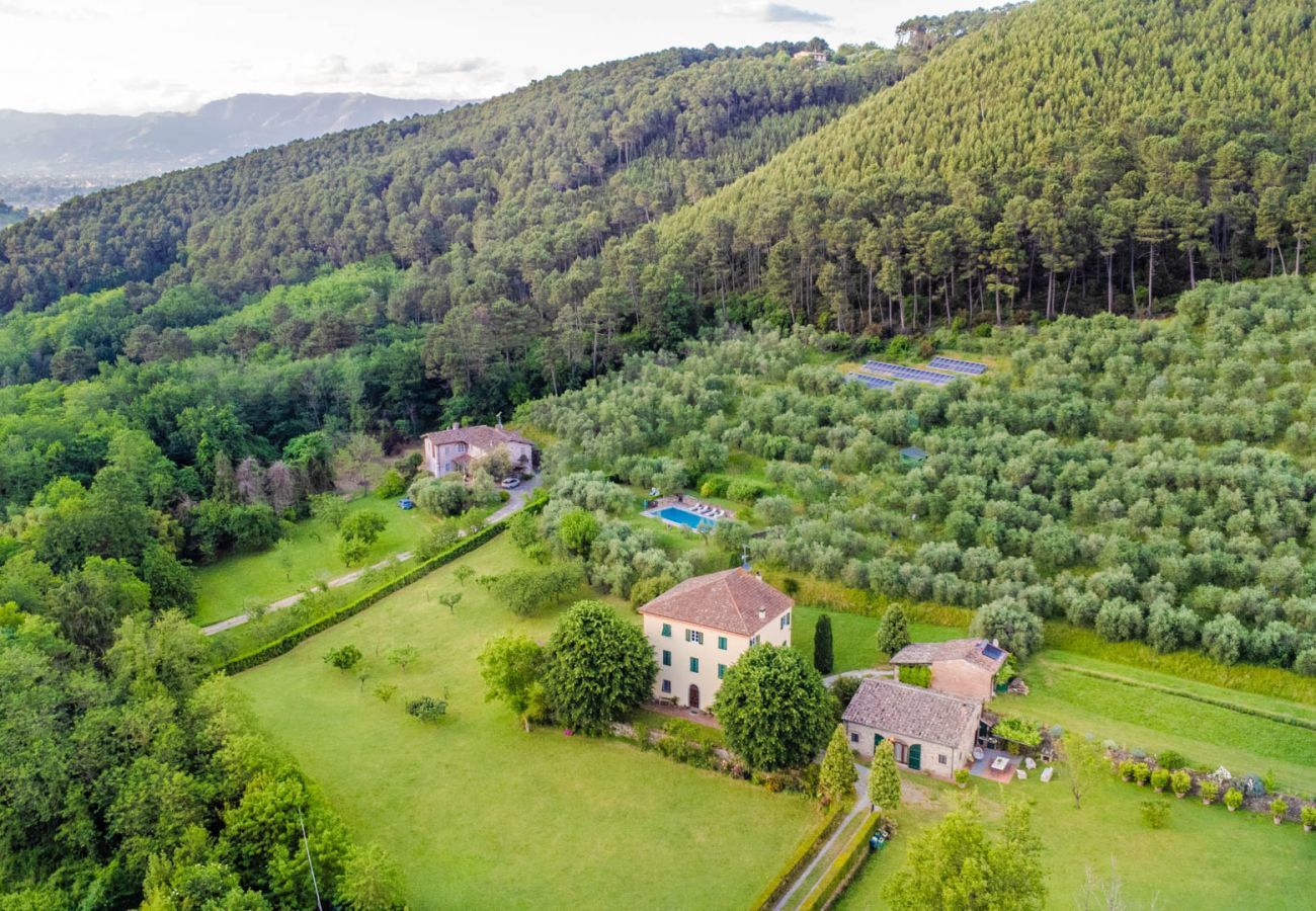 Villa in Capannori - Citrus Charm Farmhouse, a Country Villa with Pool on the hills of Lucca