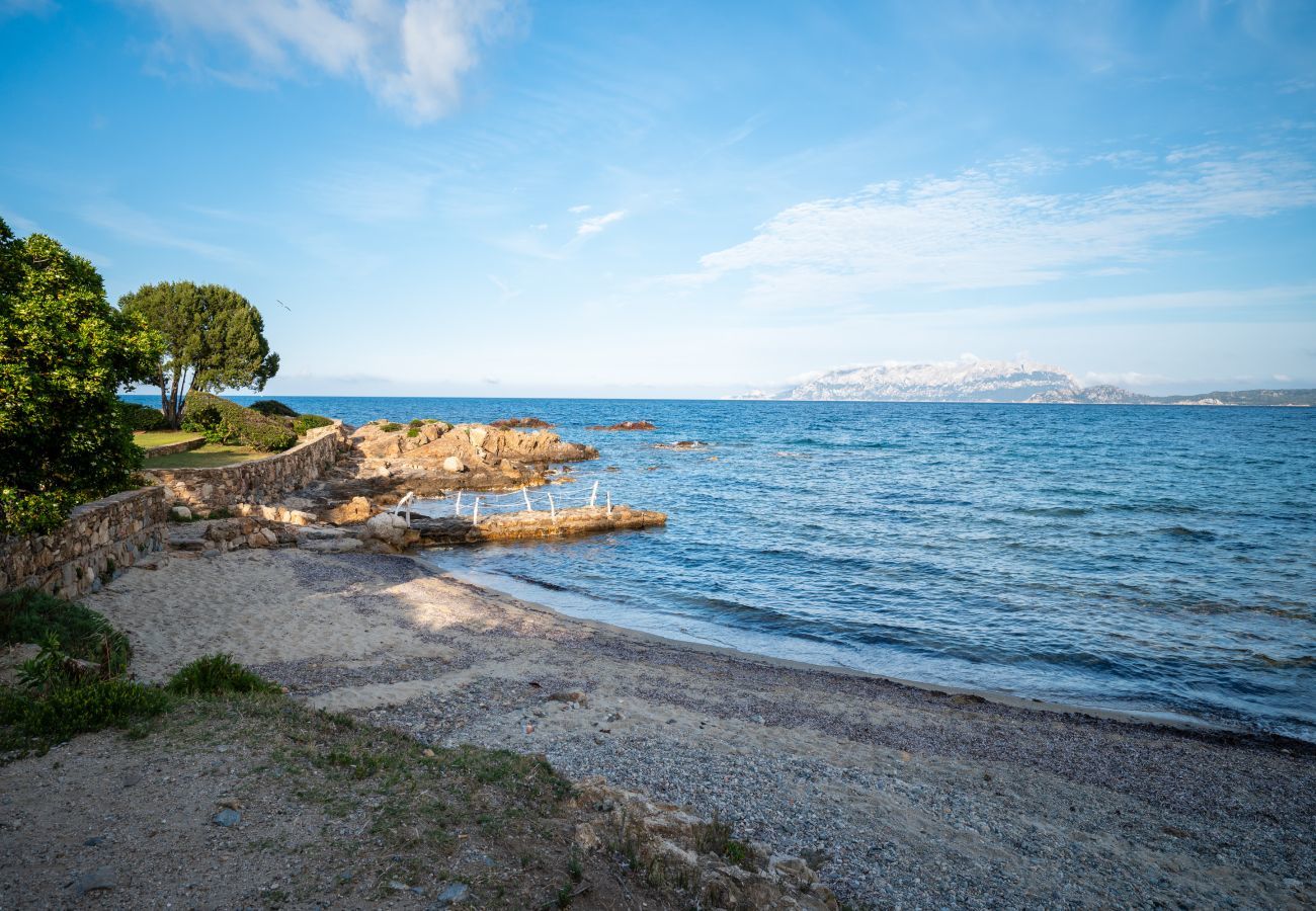 Chalet in Olbia - Ca cele viola – Ferienhaus am Meer in Pittulongu