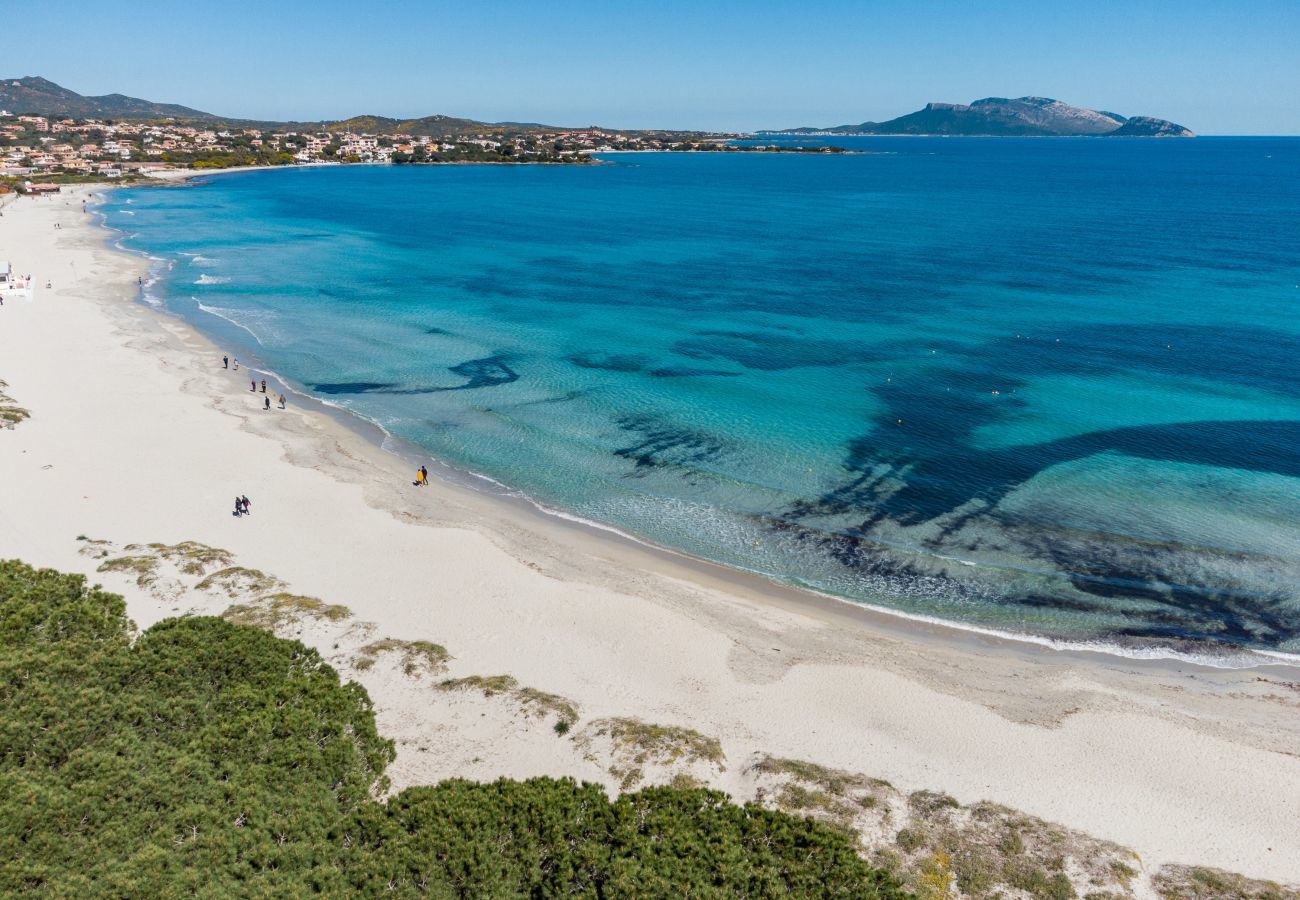 Chalet in Olbia - Ca cele viola – Ferienhaus am Meer in Pittulongu