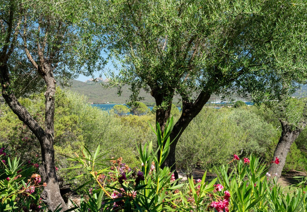 Ferienwohnung in Porto Rotondo - Caletta Nest 88 - Ferienwohnung mit Pool und Aussicht