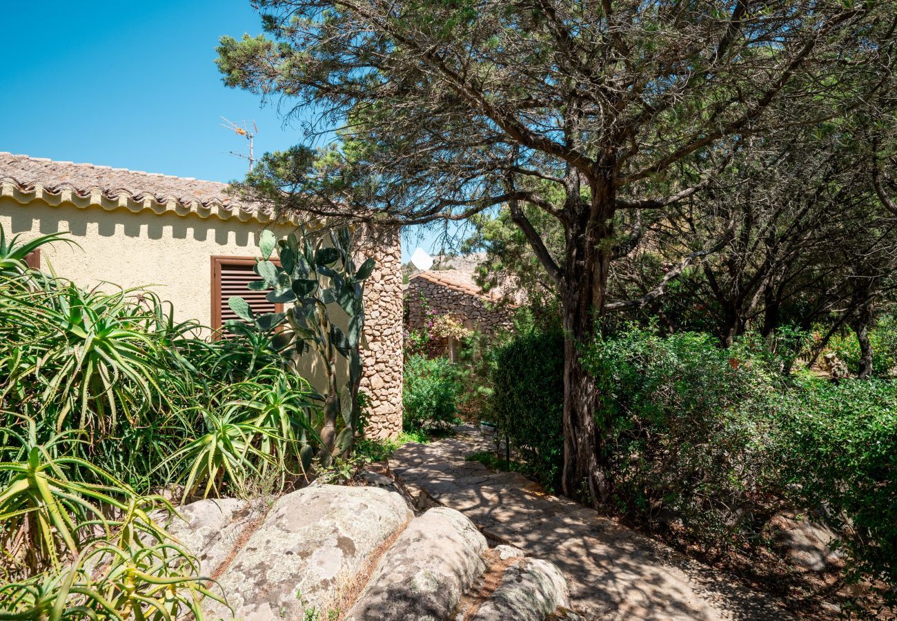 Ferienwohnung in Porto Rotondo - Caletta Nest 88 - Ferienwohnung mit Pool und Aussicht