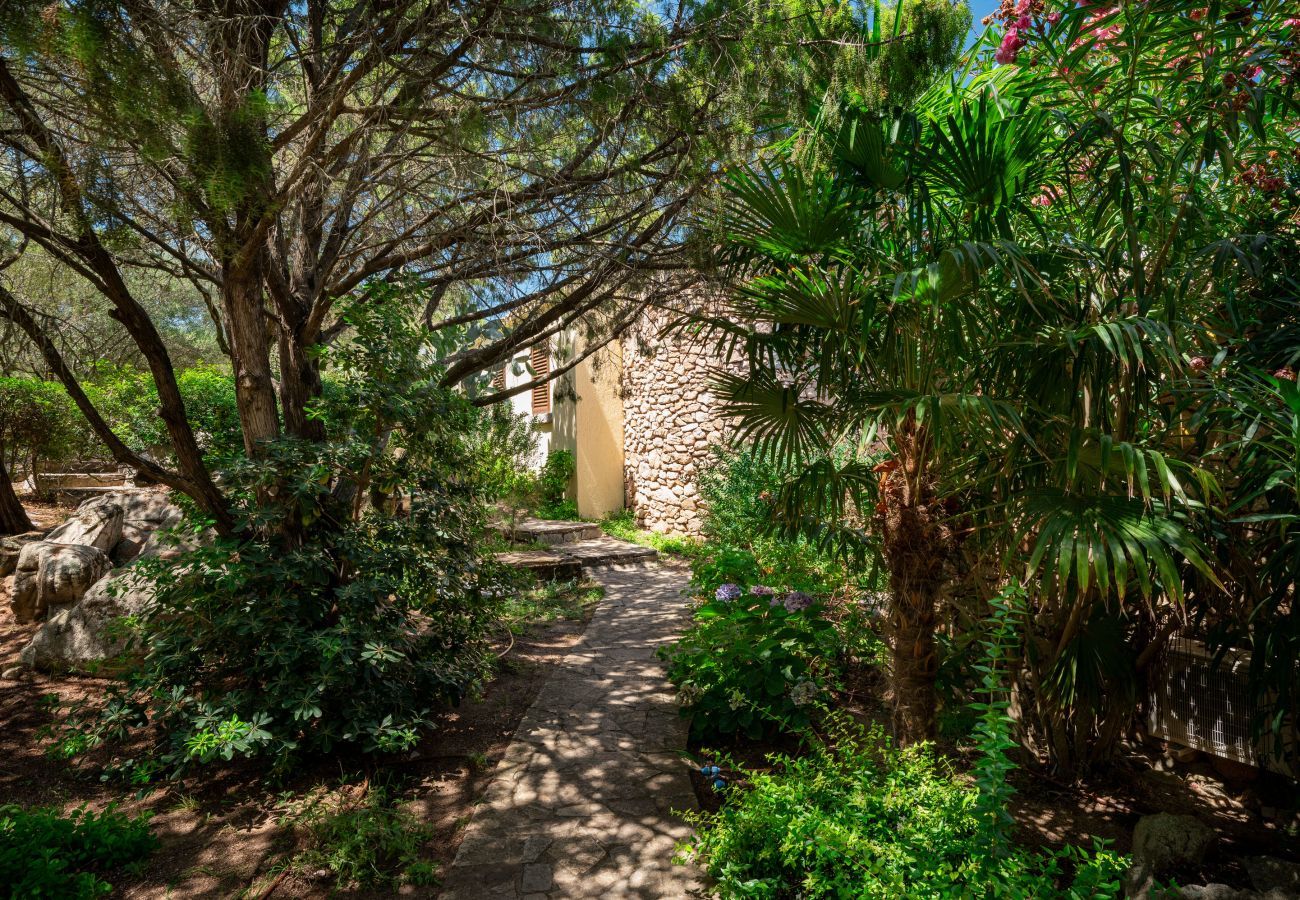 Ferienwohnung in Porto Rotondo - Caletta Nest 88 - Ferienwohnung mit Pool und Aussicht