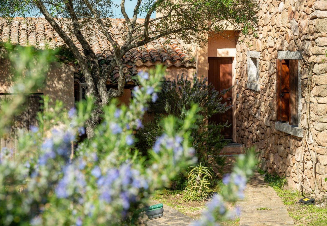 Ferienwohnung in Porto Rotondo - Caletta Nest 11