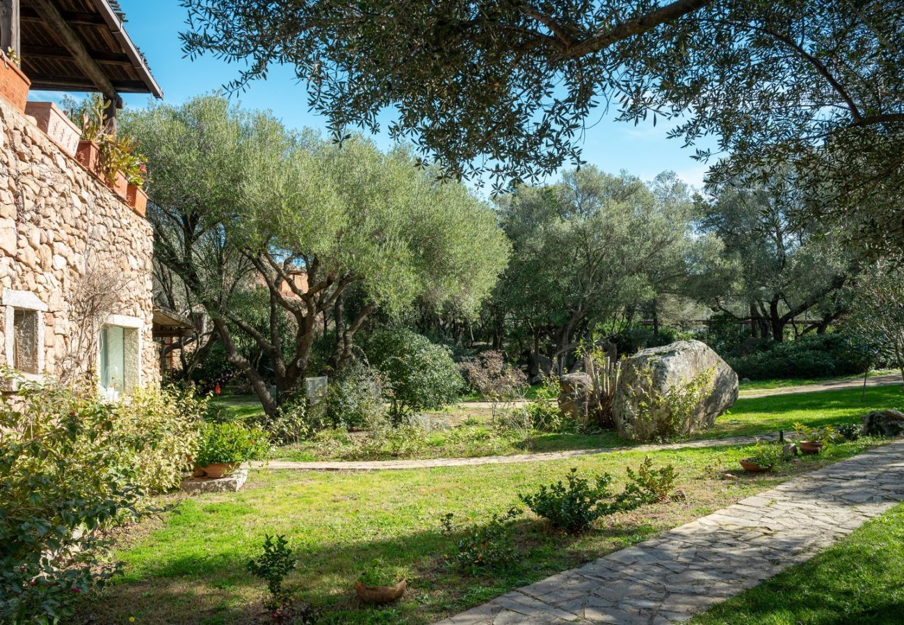 Ferienwohnung in Porto Rotondo - Caletta Nest 11