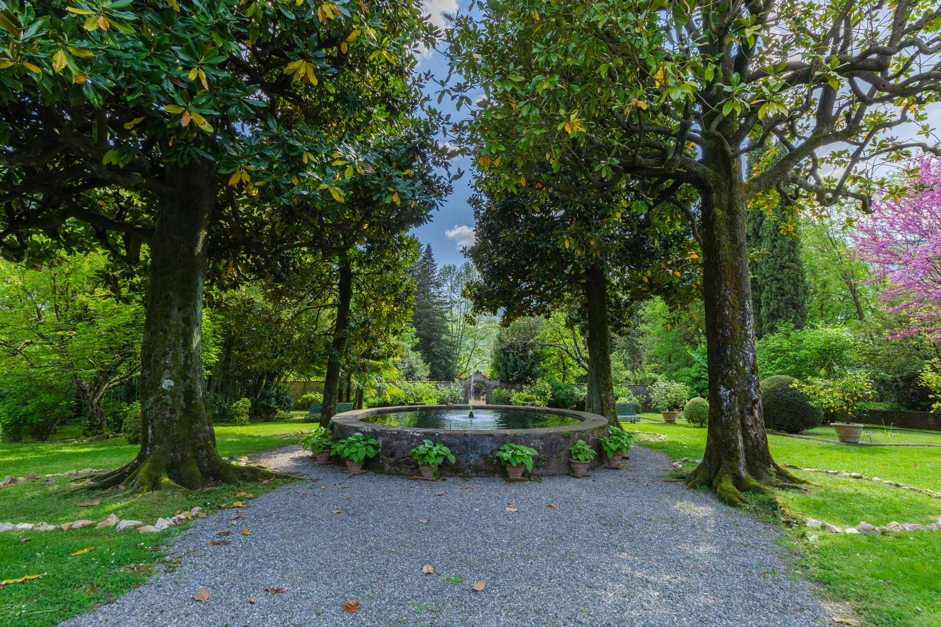  in Piano di Coreglia - Casa Cassettari Apartment with Garden