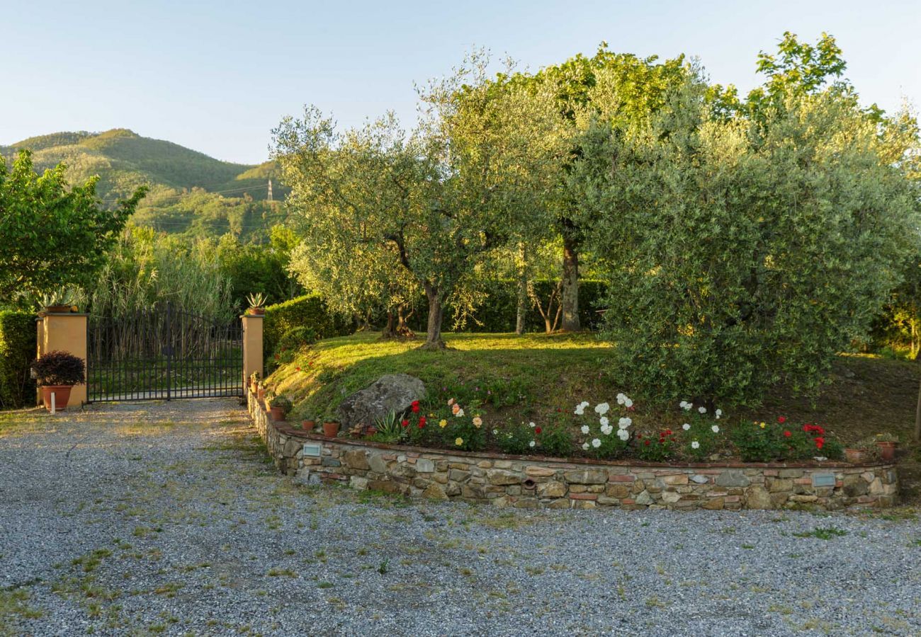 Villa in Capannori - ROMANTIC FARMHOUSE VILLA WITH PRIVATE INFINITY POOL AND GREAT VIEWS IN LUCCA