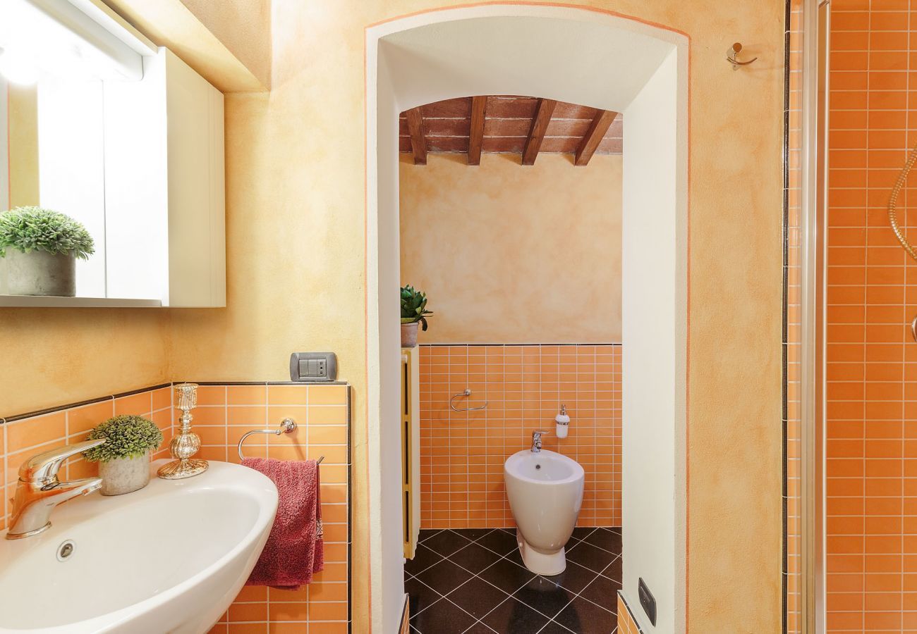 Apartment in Lucca - 3 bedrooms flat in central Lucca with air conditioning