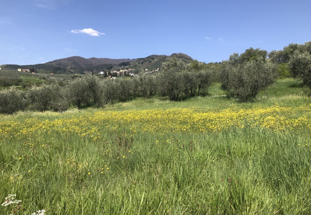 Apartment in San Gennaro - Casa San Gennaro at Borghetto Farmhouse