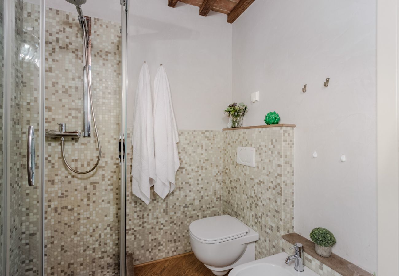 Apartment in Lucca - Smart Flat with Elevator inside Lucca