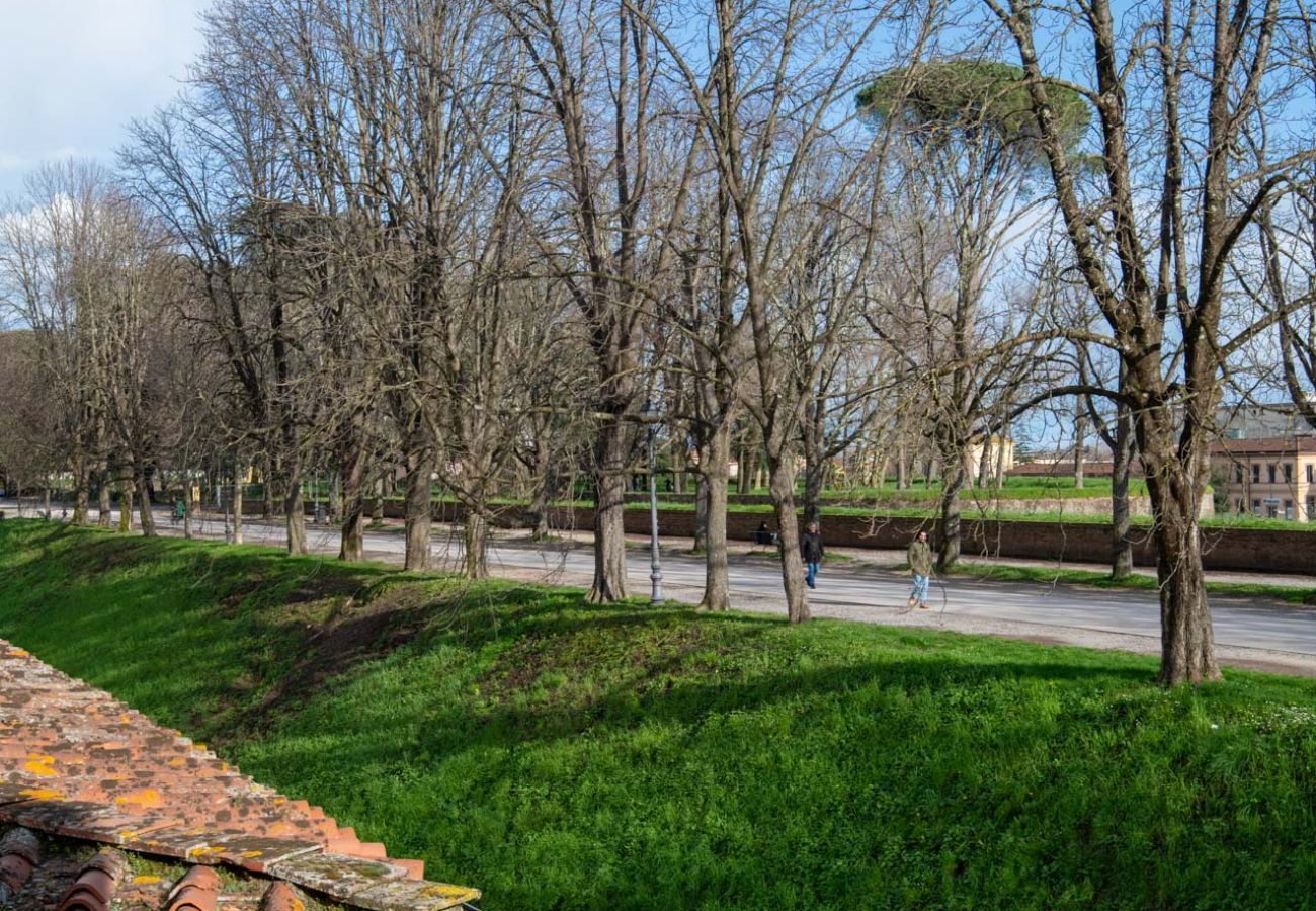 Apartment in Lucca - Casa Daria, Modern 4 Bedrooms Apartment inside the Walls of Lucca 