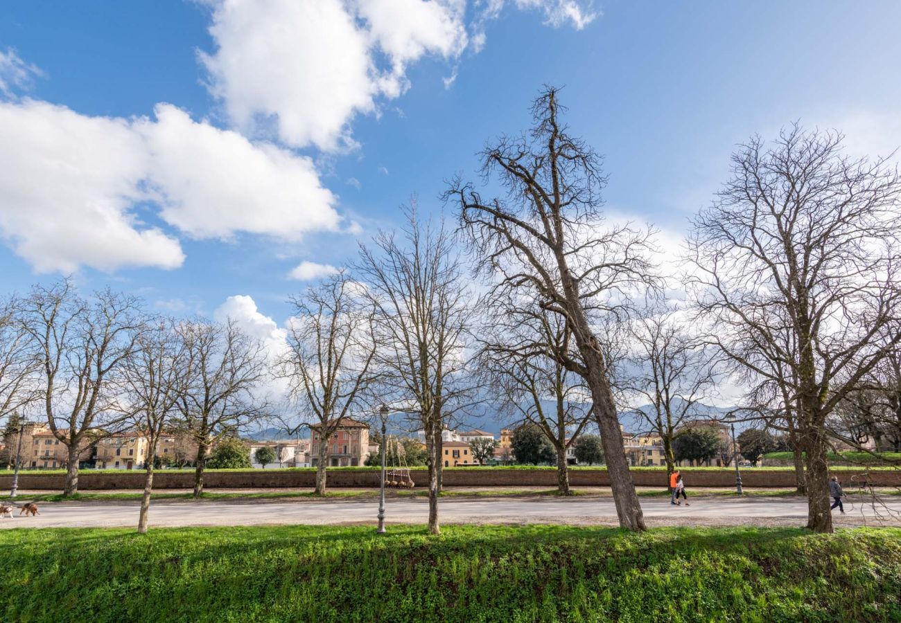 Apartment in Lucca - Casa Daria