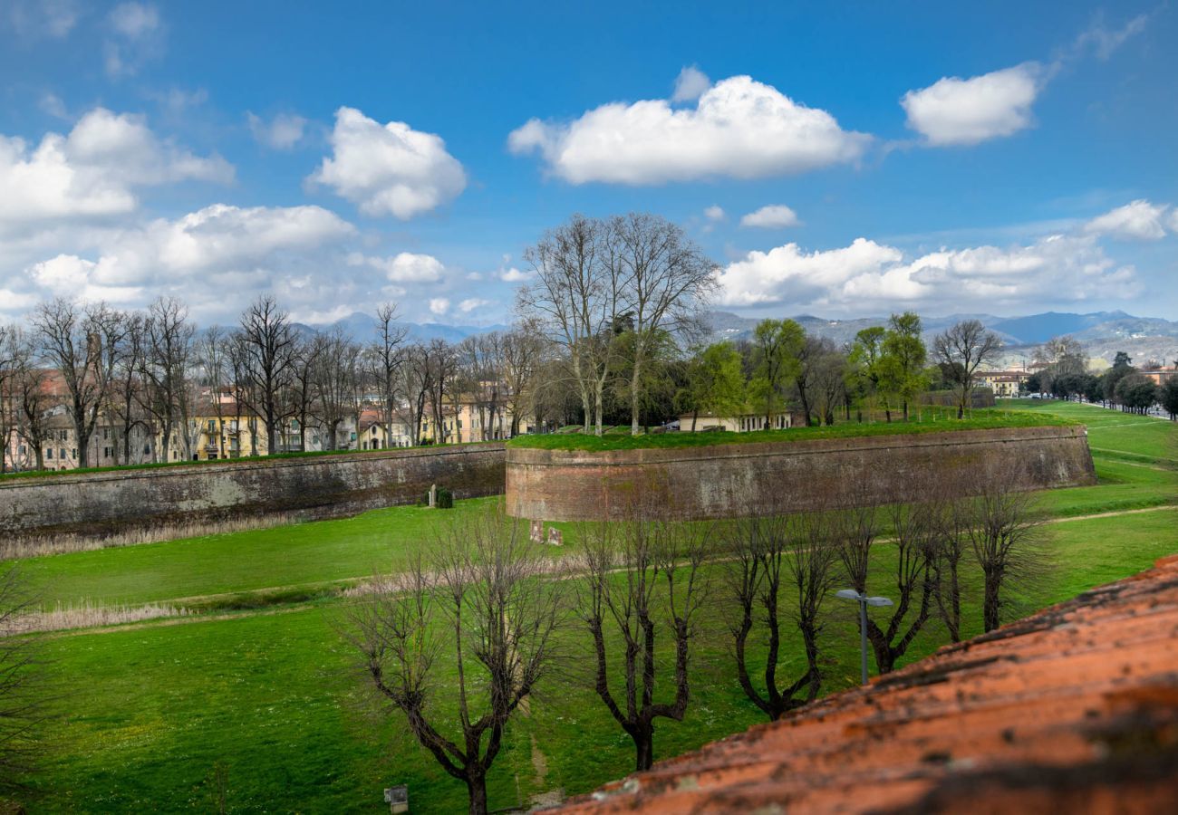 Apartment in Lucca - 3 bedrooms Toproof Penthouse with Elevator in Lucca Town Centre