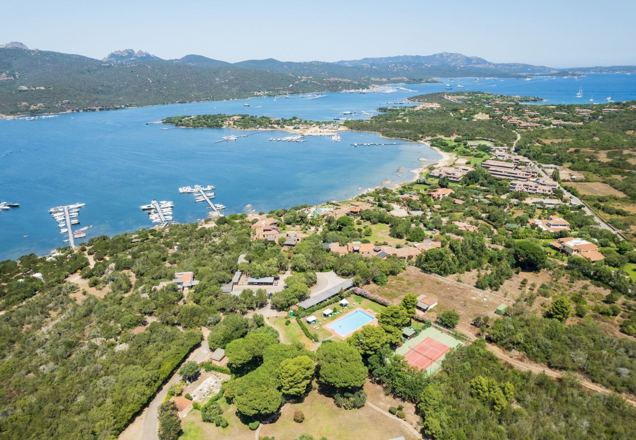 Apartment in Porto Rotondo - Caletta Nest 88 - holiday flat with pool and view