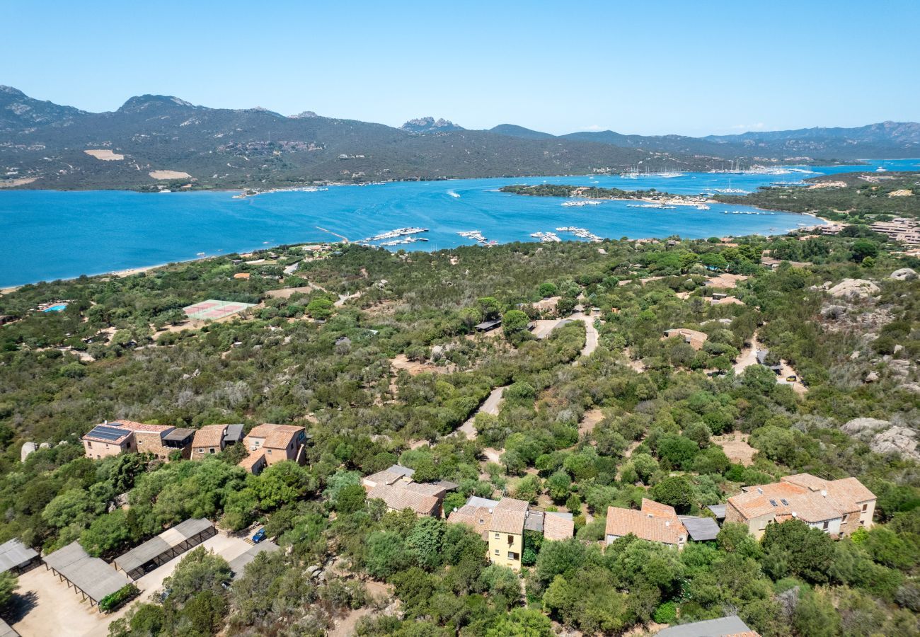 Apartment in Porto Rotondo - Caletta Nest 88 - holiday flat with pool and view