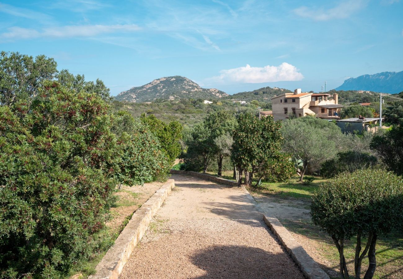 Villa in Olbia - Villa Aurazure