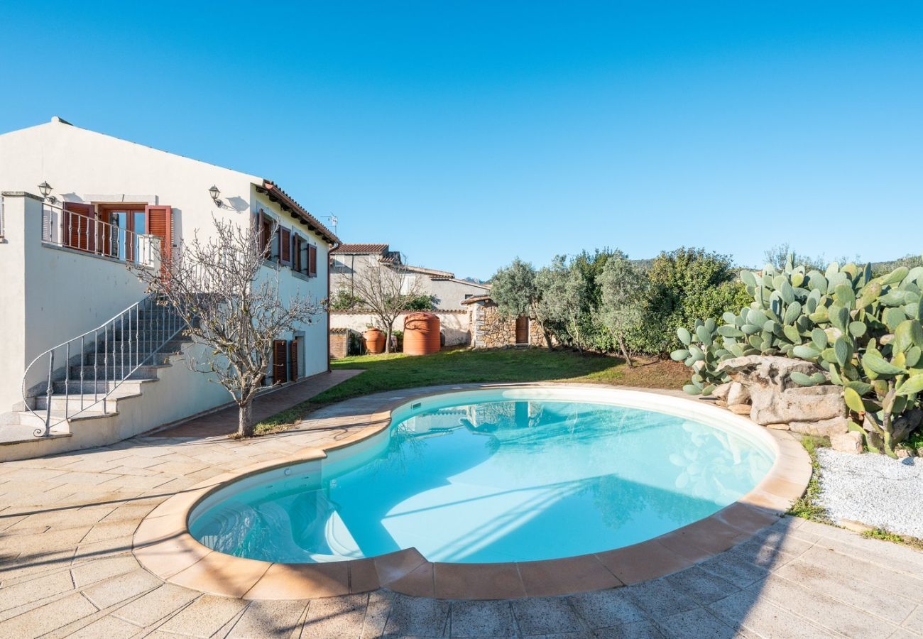 Villa in Olbia - Villa Calyra