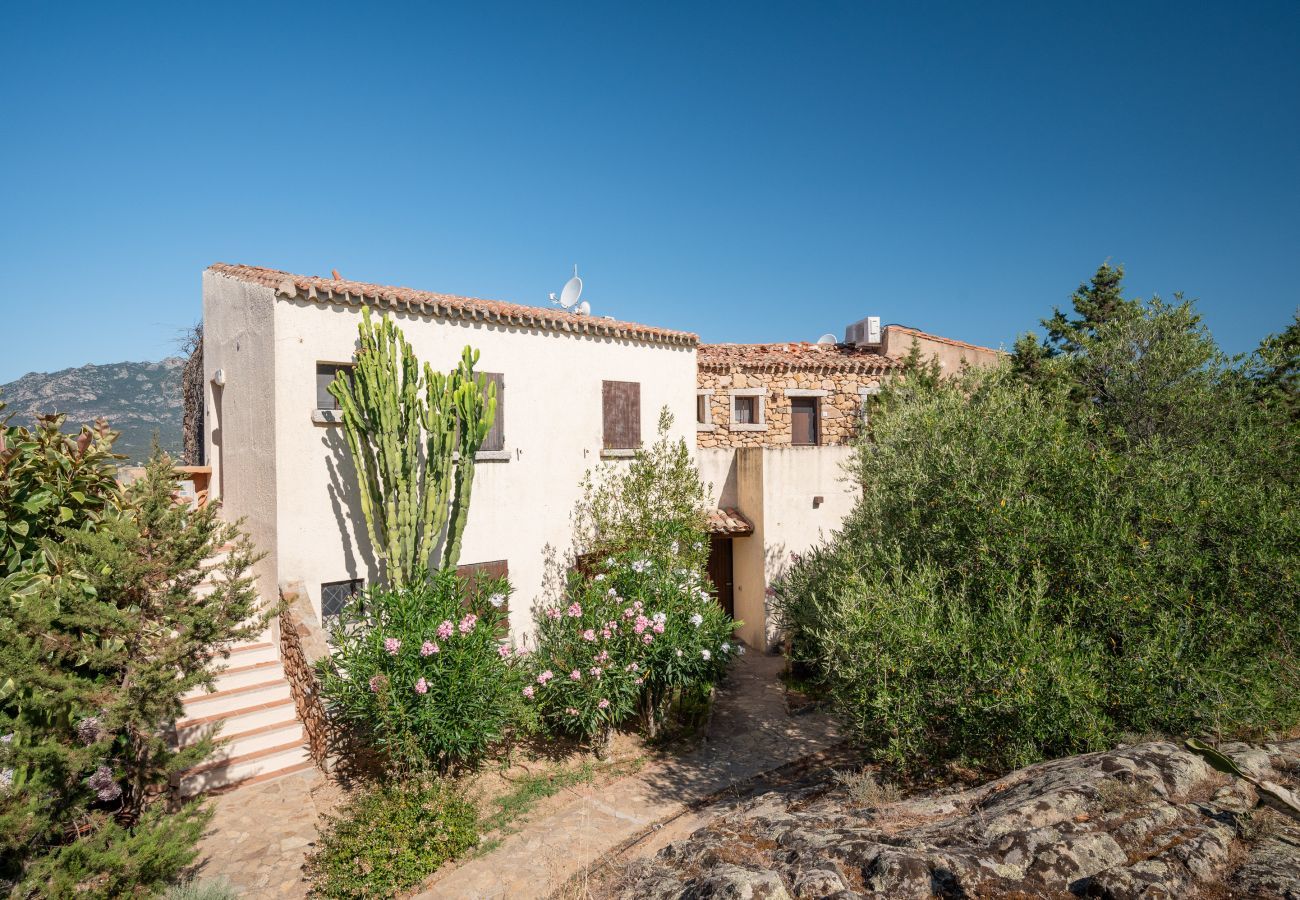 Appartement à Porto Rotondo - Caletta Nest 108 - maison de vacances avec piscine