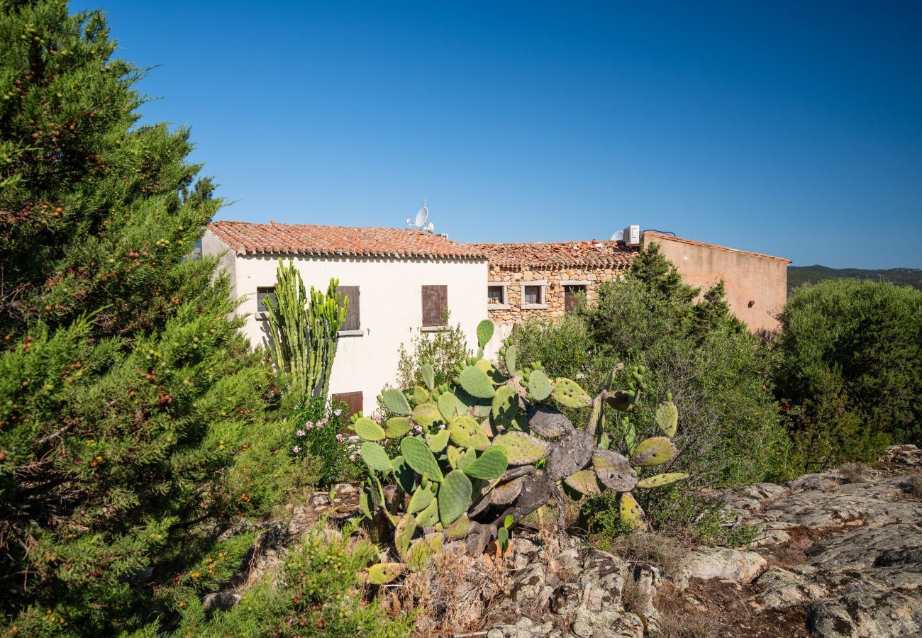 Appartement à Porto Rotondo - Caletta Nest 108 - maison de vacances avec piscine